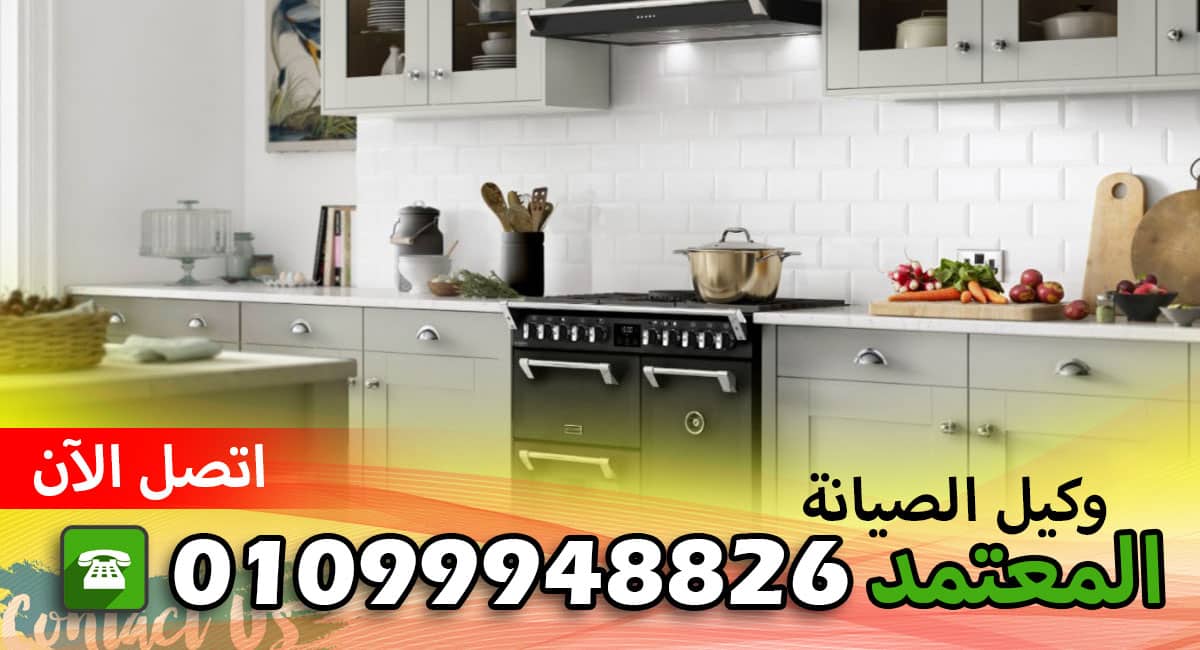 خدمة صيانة دانسات